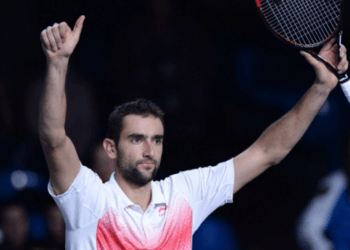 Чилич увеличил преимущество Хорватии над Францией в финале Кубка Дэвиса