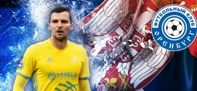 Деспотович