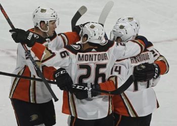 Прогноз Анахайм — Сент-Луис (24 января 2019), ставки и коэффициенты