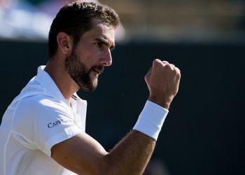 Прогноз Чилич — Томич (14 января 2019), ставки и коэффициенты