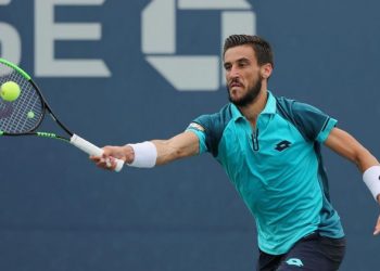 Прогноз Гоевчик — Джумхур (19 февраля 2019), ставки и коэффициенты