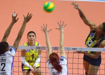 Прогноз Хемик Полице – Фенербахче (6 февраля 2019), ставки и коэффициенты