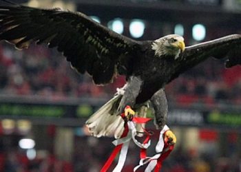 Прогноз Бенфика — Галатасарай (21 февраля 2019), ставки и коэффициенты