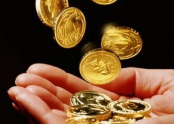 Инвестиции в спортивные ставки и букмекерские конторы