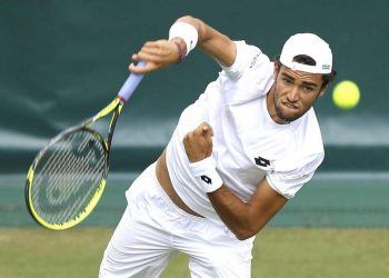 Прогноз Маттео Берреттини — Диего Шварцман (6 июля 2019), ставки и коэффициенты