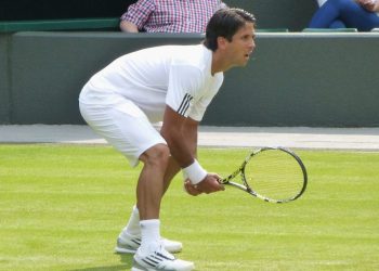 Прогноз Давид Гоффен — Фернандо Вердаско (8 июля 2019), ставки и коэффициенты