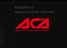 БК «Бинго Бум» и молодежная бойцовская лига АСА Yang Eagles стали партнерами