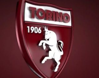 Прогноз Торино — Вулверхэмптон (22 августа 2019), ставки и коэффициенты