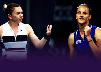 Прогноз Симона Халеп – Каролина Плишкова (1 ноября 2019), ставки и коэффициенты