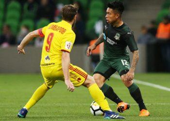 Прогноз Арсенал Тула — Краснодар (24 ноября 2019), ставки и коэффициенты