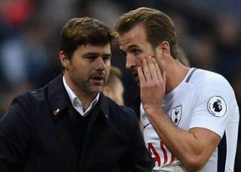 Почеттино и Кейн