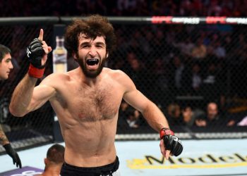 Прогноз Забит Магомедшарипов — Келвин Каттар (9 ноября 2019), ставки и коэффициенты