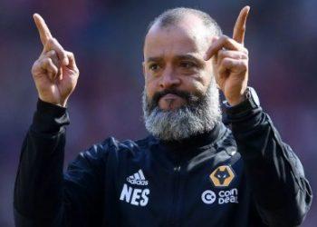 Прогноз Вулверхэмптон — Тоттенхэм (15 декабря 2019), ставки и коэффициенты