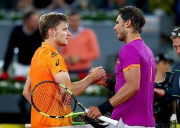 Прогноз Рафаэль Надаль – Давид Гоффен (10 января 2020), ставки и коэффициенты