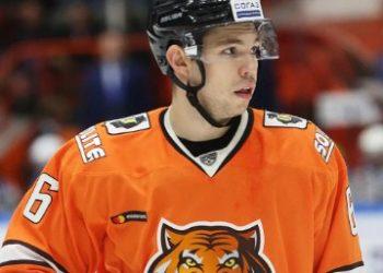 Прогноз Торпедо — Амур (15 февраля 2020), ставки и коэффициенты