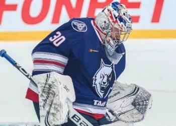 Прогноз Нефтехимик — Северсталь (3 февраля 2020), ставки и коэффициенты