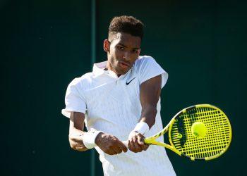 Прогноз Феликс Оже-Альяссим – Дамир Джумхур (4 февраля 2020), ставки и коэффициенты