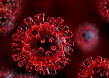 Ставки во время карантина