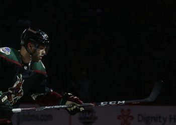 Прогноз Нэшвилл — Аризона (2 августа 2020), ставки и коэффициенты