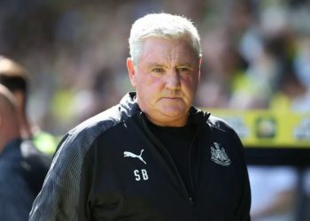 Прогноз Ньюкасл – Брайтон (20 сентября 2020), ставки и коэффициенты