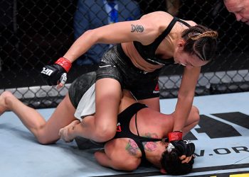 Прогноз Ли — Шевченко