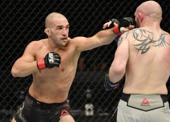 Прогноз Солеки — Гордон