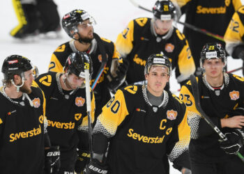 Прогноз Северсталь — Торпедо