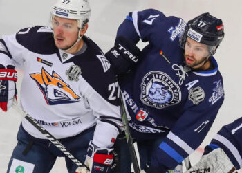 Прогноз Динамо Минск — Металлург