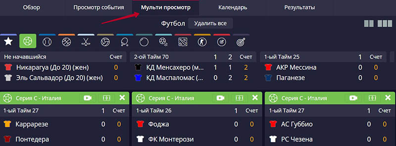 Раздел «Мульти просмотр»